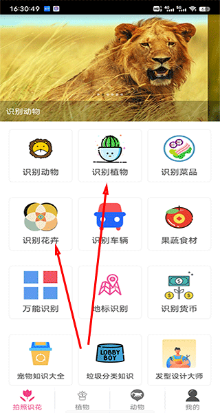 拍照识花神器app官方版